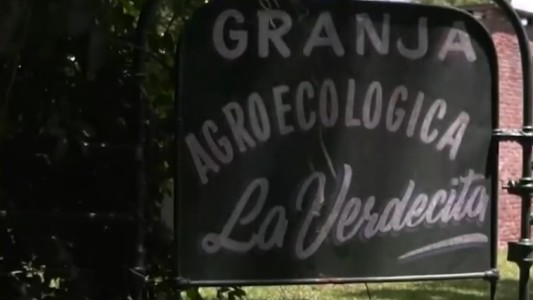 Preocupación por la ola de robos en La Verdecita: se llevaron hasta una oveja