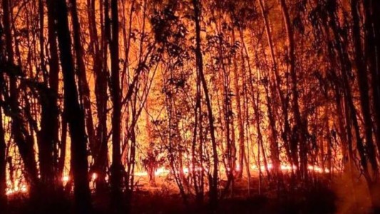 Impactante incendio en el Parque Pereyra Iraola: más de 150 hectáreas se vieron afectadas por las llamas