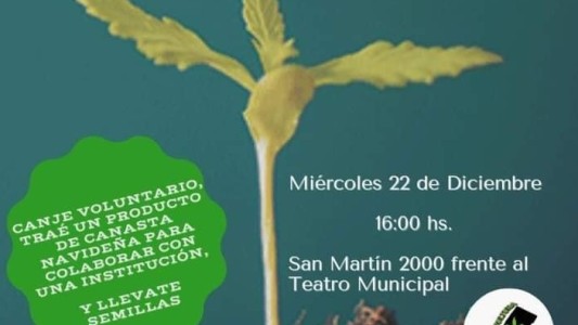 “Cultivando conciencia”: Macame lleva adelante una movida en la peatonal