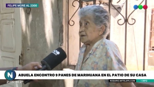 Abuelita fue a buscar paltas al patio y descubrió nueve panes de marihuana