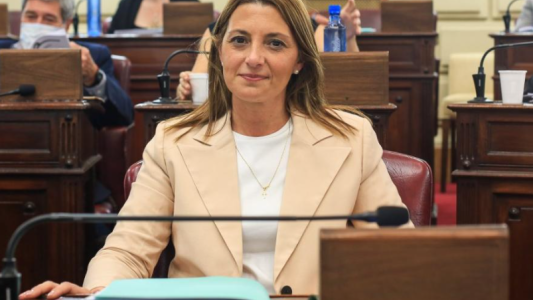 Florito propone una ley para urgencias de mascotas y animales en la vía pública