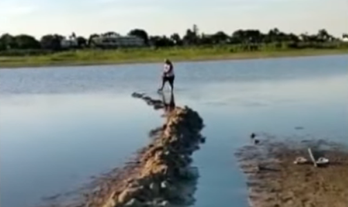 Javier Maillo: un ex Gran Hermano que se convirtió en “rescatista” de peces