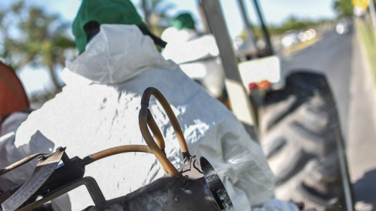 Habrá tareas de fumigación, bacheo e iluminación durante este miércoles
