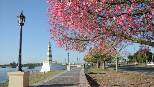 Clima: ¿Cómo continuarán las temperaturas los próximos días?
