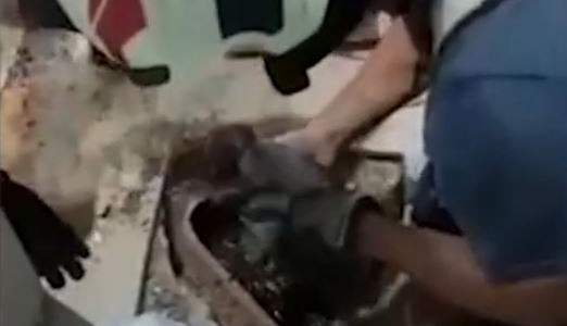 Video: bomberos rescataron a un cachorro atrapado en un desagüe