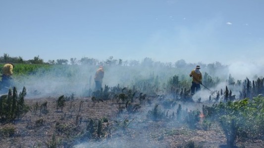 "Cada chispa es un incendio": Protección Civil solicita concientización
