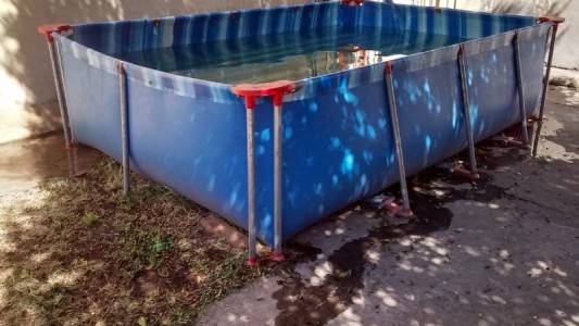 Tragedia en San Juan: una nena murió ahogada al intentar salvar a un gatito