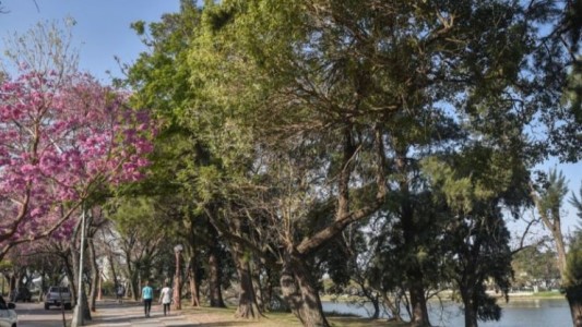 Un grupo de jóvenes impulsa un plan de forestación para la ciudad de Santa Fe