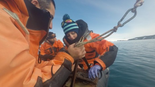 Antártida: Científicos argentinos investigarán microorganismos capaces de mitigar la contaminación