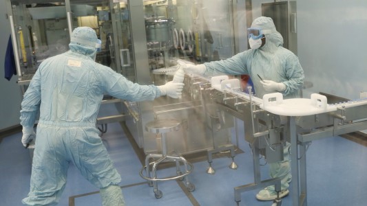 "NeoCov": el nuevo coronavirus hallado en murciélagos que podría saltar a los humanos