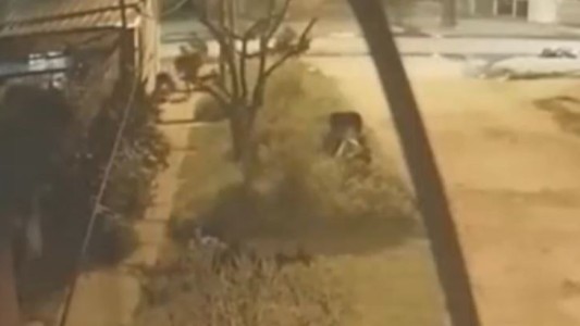 Asesinó a piedrazos a la actual pareja de su exnovia por un televisor