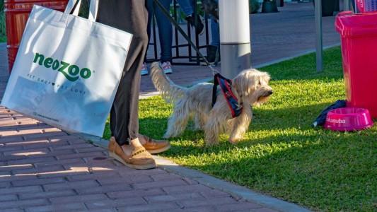 Febrero con liquidaciones: comprá rápido y seguro en Puerto Plaza
