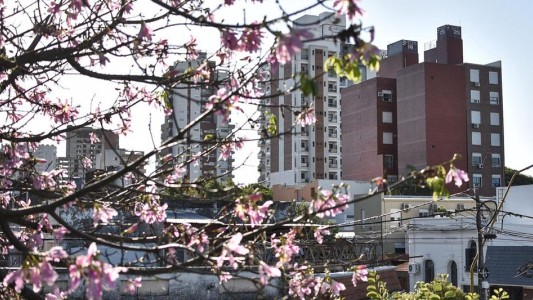 Escasea la oferta inmobiliaria para estudiantes en la ciudad de Santa Fe