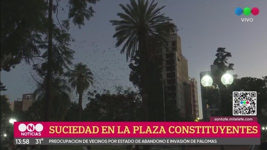 Preocupa el estado de la Plaza Constituyentes