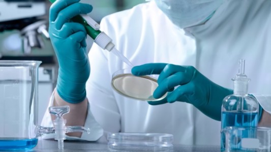 Expectativa por la primera vacuna argentina anticovid: estaría antes de fin de año