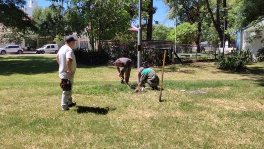 "No se termina de arreglar que se roban cables y farolas": vuelven a vandalizar el Parque Garay