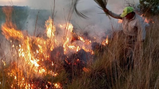 Incendios en Corrientes: Pérdidas multimillonarias y 800 mil hectáreas quemadas