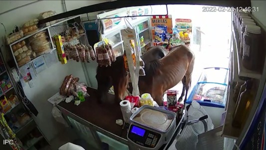 Video: atendía un local y entraron dos caballos