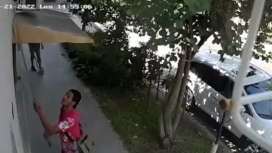 "No me interesa hacer la denuncia: lo que quiero es que los vecinos puedan verlos"