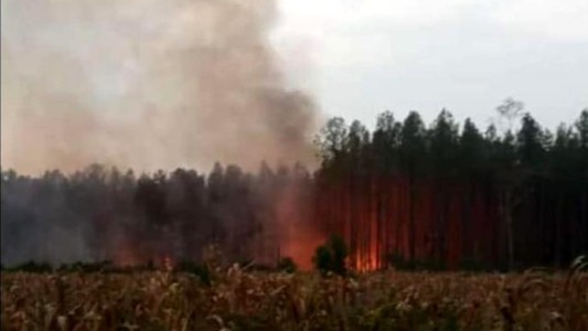 Los brigadistas santafesinos aguardan expectantes las lluvias en Misiones