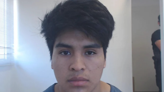 Presunto femicida va a juicio por buscar en Google cómo “apuñalar” a una persona