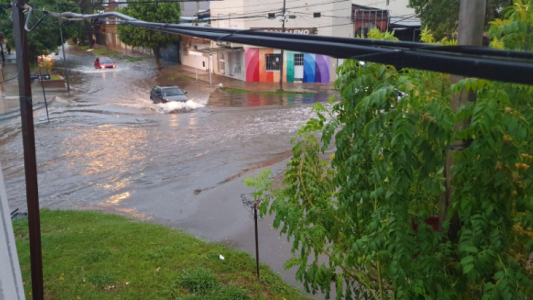 Calles anegadas y árboles caídos: Los efectos del temporal en la ciudad