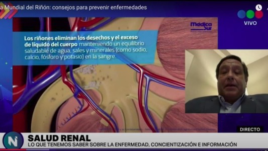 Día Mundial del Riñón: consejos para prevenir enfermedades