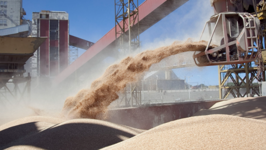 Perotti: “Cerrar exportaciones de harina y aceite de soja frenará el ingreso de divisas”