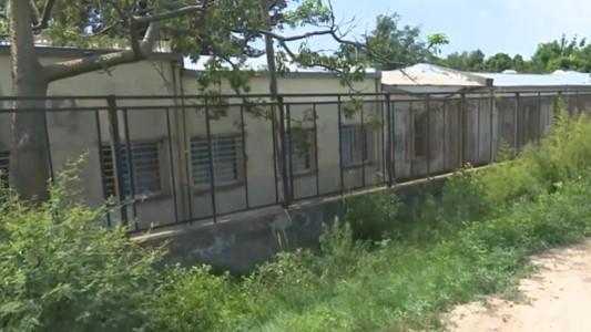 Docente de una escuela de Alto Verde fue picada por una víbora