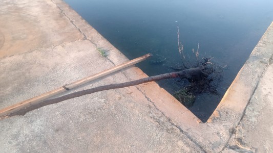 Continúan vandalizando los espacios públicos de la ciudad de Santa Fe