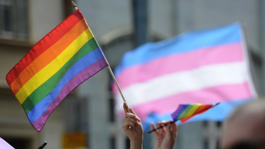 Va tomando forma el Paseo de la Diversidad Sexual en la ciudad