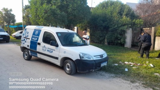 Una jubilada fue atacada por su perro rottweiler: tuvieron que dispararle al perro para que dejara de morder