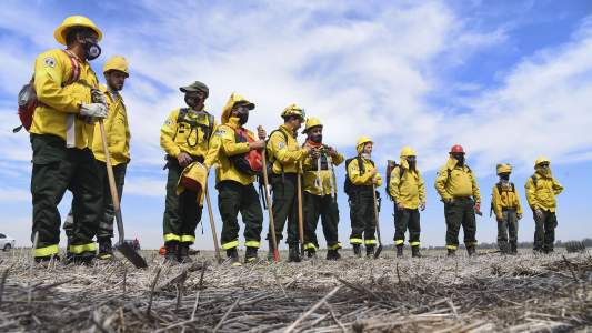 Buscan reconocer a brigadistas que intervinieron en incendios en Arroyo Seco y Pueblo Esther