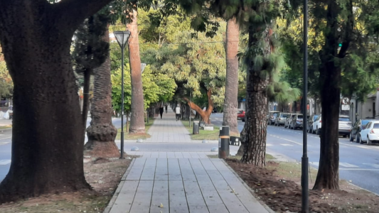 Se esperan temperaturas poco usuales para este otoño en la ciudad