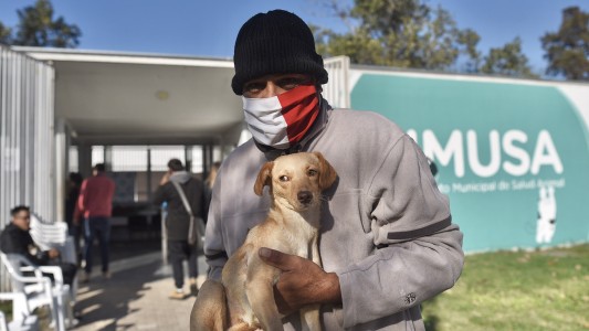 En el Día del Animal, la Municipalidad promueve la adopción y tenencia responsable