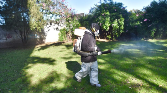 Confirman el primer caso de dengue importado en la ciudad