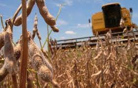 La Mesa de Enlace reanudó el diálogo con la provincia: los temas que se trataron