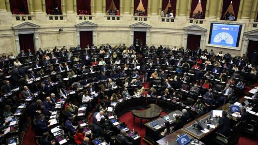 Presentan un proyecto de Salario Básico y Universal