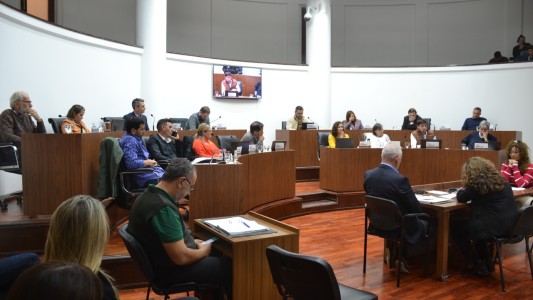 Animales de compañía: se aprobaron dos iniciativas