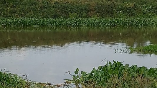 Paraje La Costa: Una pareja fue rescatada de un auto sumergido en el río