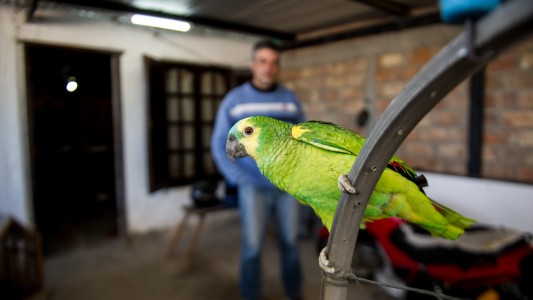 El loro Lorenzo recibió al censista al ritmo de "¡Perón, Perón, qué grande sos!"