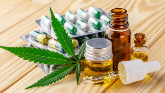 Promulgaron la ley de Cannabis Medicinal y Cáñamo Industrial