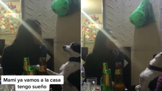 Video: un perro le pide a su dueña volver a casa en plena fiesta