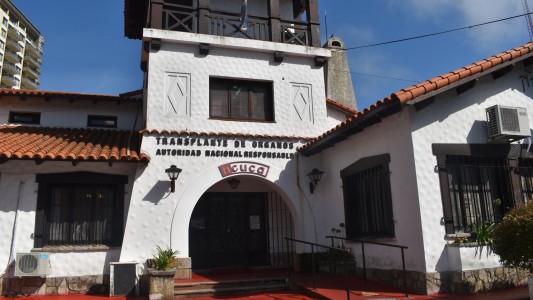 El Incucai condenó la propuesta de Milei y destacó que el comercio de órganos "esta prohibido por ley"