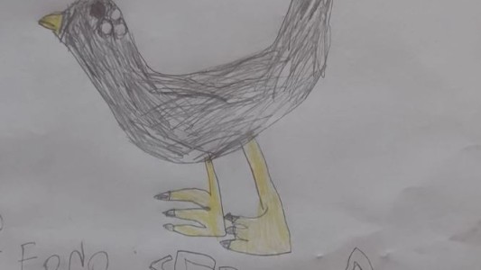 Una niña de 8 años recuperó a su gallina gracias a un dibujo y la ayuda del barrio