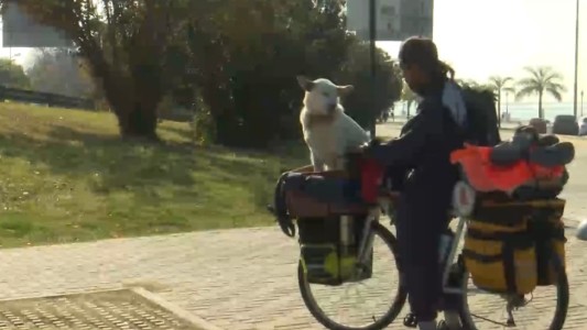 Es colombiano, lleva 16.000 km recorridos en bicicleta y llegó a Santa Fe