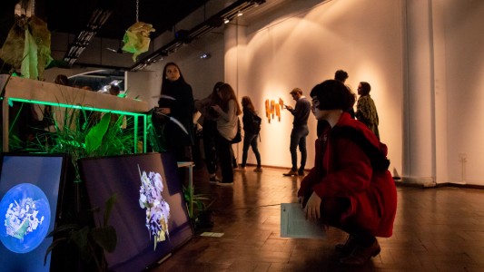 Agenda para disfrutar en las salas y al aire libre