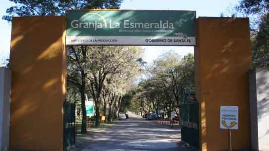 En los próximos meses se verían los primeros cambios en la Granja La Esmeralda