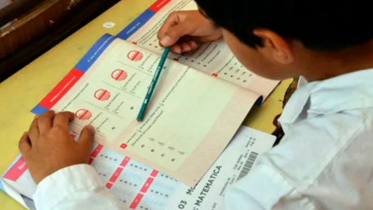 La Pruebas Aprender 2021 arrojaron como resultado un fuerte retroceso en Lengua