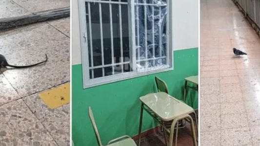 Docentes y alumnos abrazan simbólicamente el Comercial por deficiencias edilicias